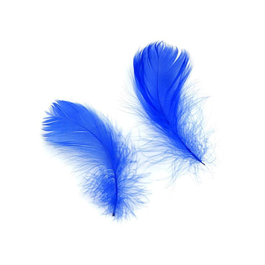 Goose Nagoire Coquille FEATHERS 3 to 4 inch - Royal Blue