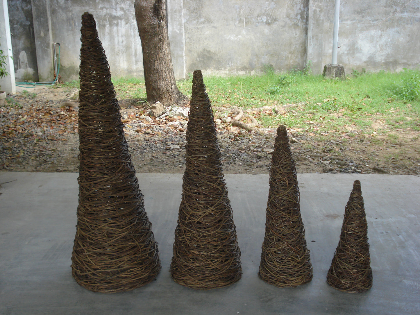 Set of 4 Vine Cone Trees decor - 60 50 45 and 38 inch - Natural
