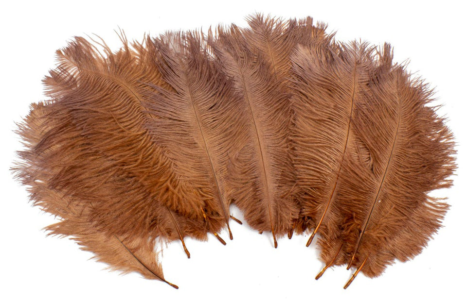 Ostrich FEATHERS 6 to 8 inch - Brown