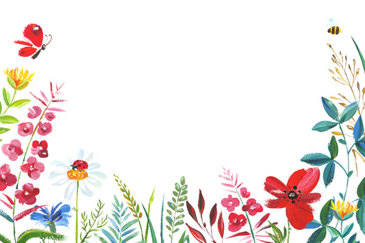 PK/50 - Flora Cards - Blank - Watercolour Flowers