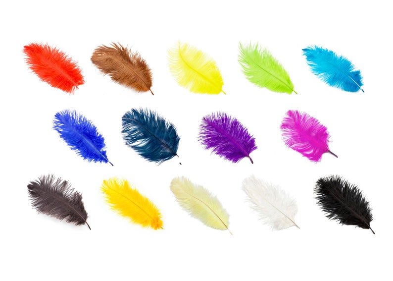 Ostrich FEATHERS 6 to 8 inch - Black