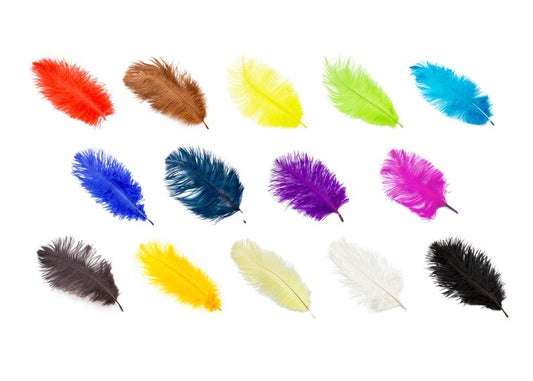 Ostrich FEATHERS 6 to 8 inch - Black