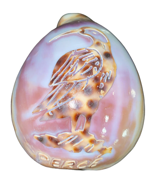 PERCE QC GANNAT COWRIE NIGHTLIGHT - Made in Canada