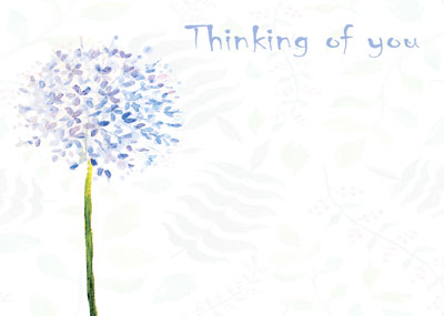 PK/50 - Flora Cards - Thinking Of You - Blue Flower