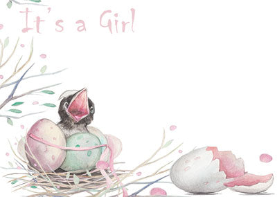 PK/50 - Flora Cards - It's A Girl - Chick