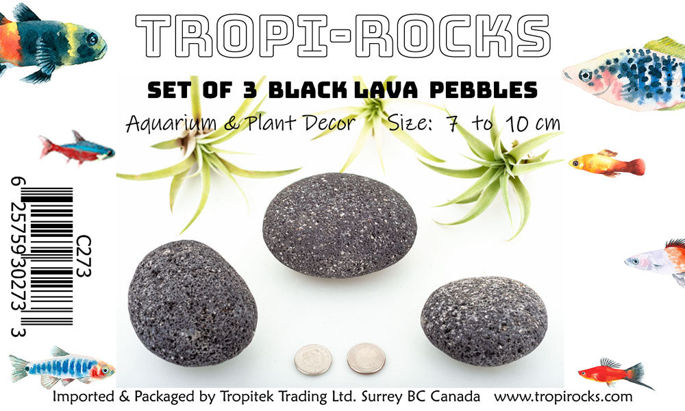 Aqua-Pack of 3 Black Lava Pebbles 70-110 mm - Boxed