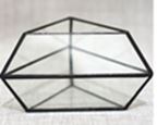 Triangle Column Glass Terrarium 14 x 12 x 8 cm