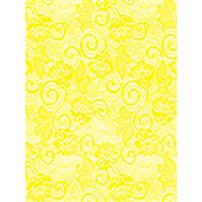 FRENCH LACE - DAFFODIL - CELLO WRAP - 24 x 100 roll