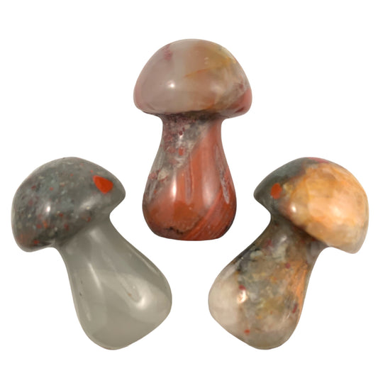 African Bloodstone Mushrooms - Small 35mm - Price Each - China - NEW722