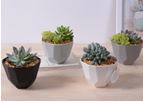 Plant Pot Geometric WHITE Size: 12.5 x 6 x 8.5 cm / 4.5 inch
