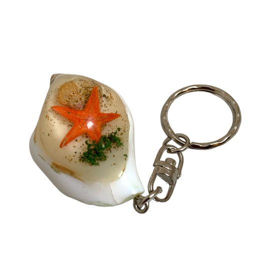 LAMINATED CANARIUM SHELL KEYRING