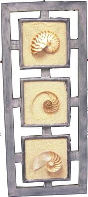 3 way Cut NAUTILUS WALL DECOR - TRIPLE BLUEWASH Frame - 10 x 24 inch