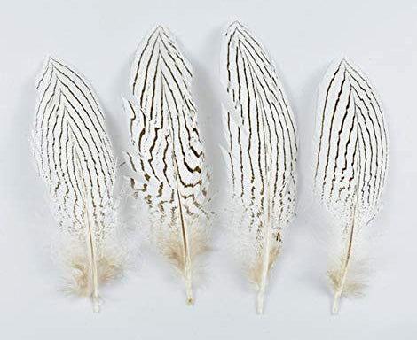 SILVER PHEASANT FEATHERS NATURAL 6 to 8 inch