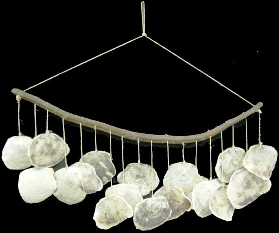 SADDLE SHELL CHIME on Natural Branch 28L x 30 inch wide