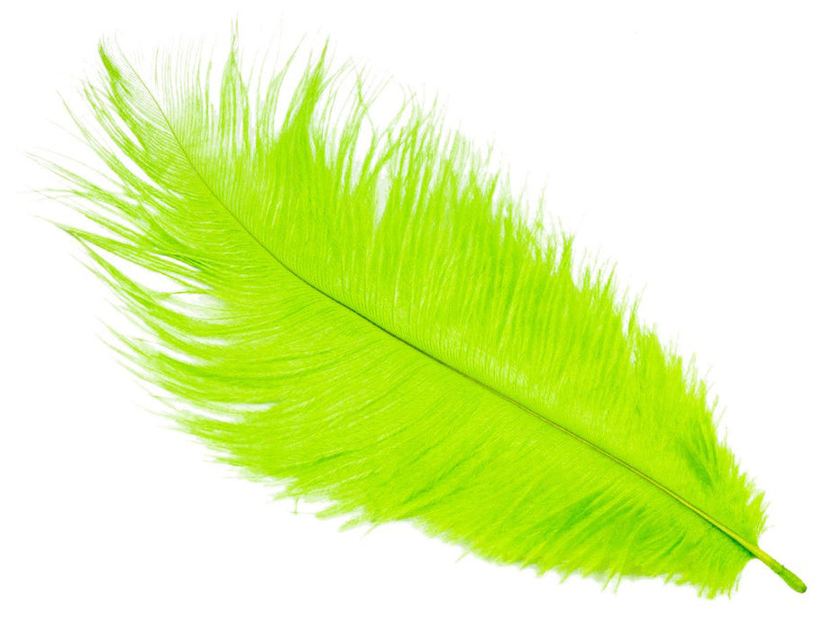 Ostrich FEATHERS 6 to 8 inch - Lime Green