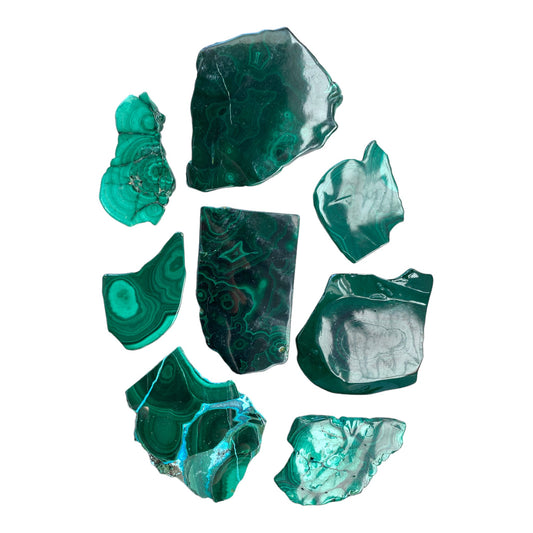 Malachite - Polished Slabs Slices - Mixed Sizes 2 to 3.5 inches - Comment for size request - Sold per gram - NEW1223