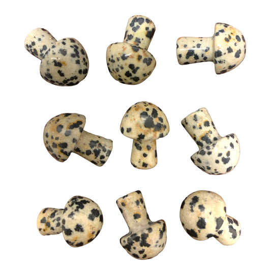 Dalmatian Jasper Mushrooms - Mini 19-20 mm - Price Each - China - NEW922