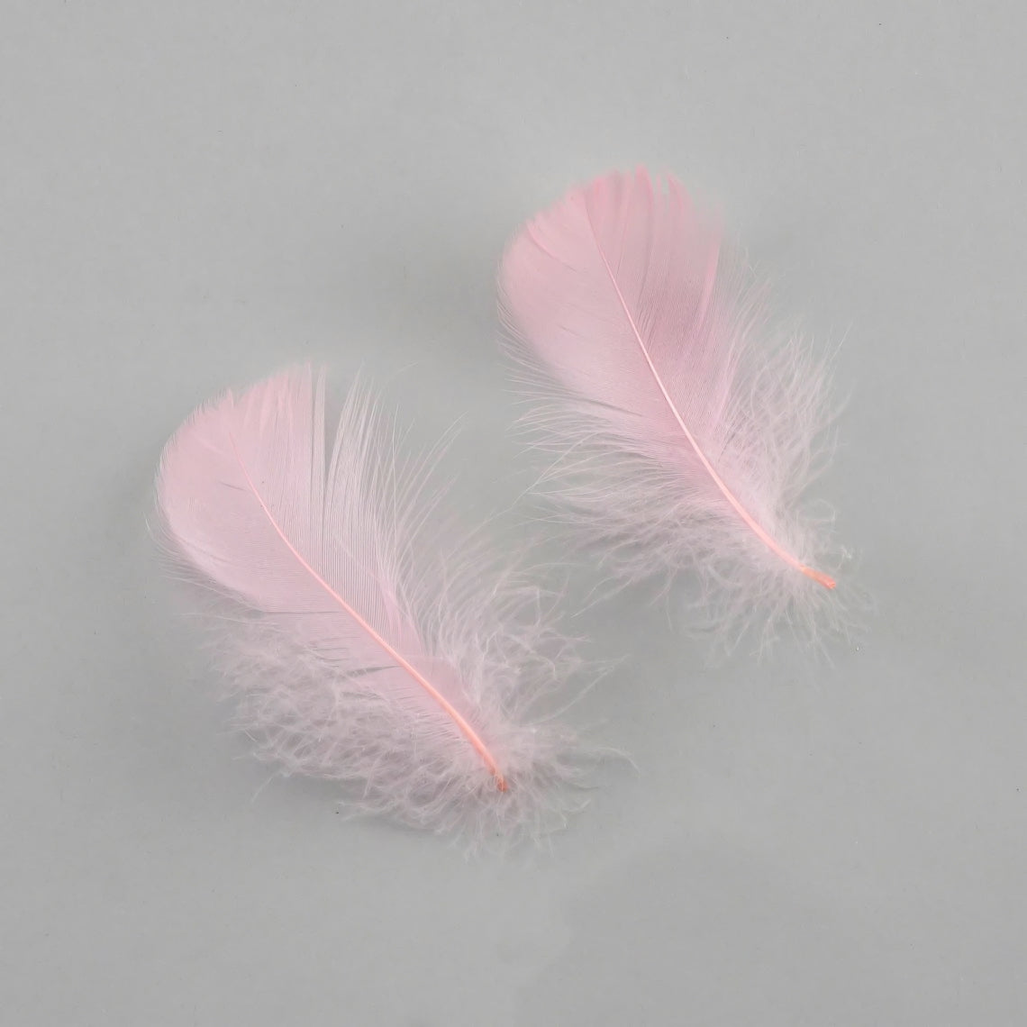 Goose Nagoire Coquille FEATHERS 3 to 4 inch - Light Pink