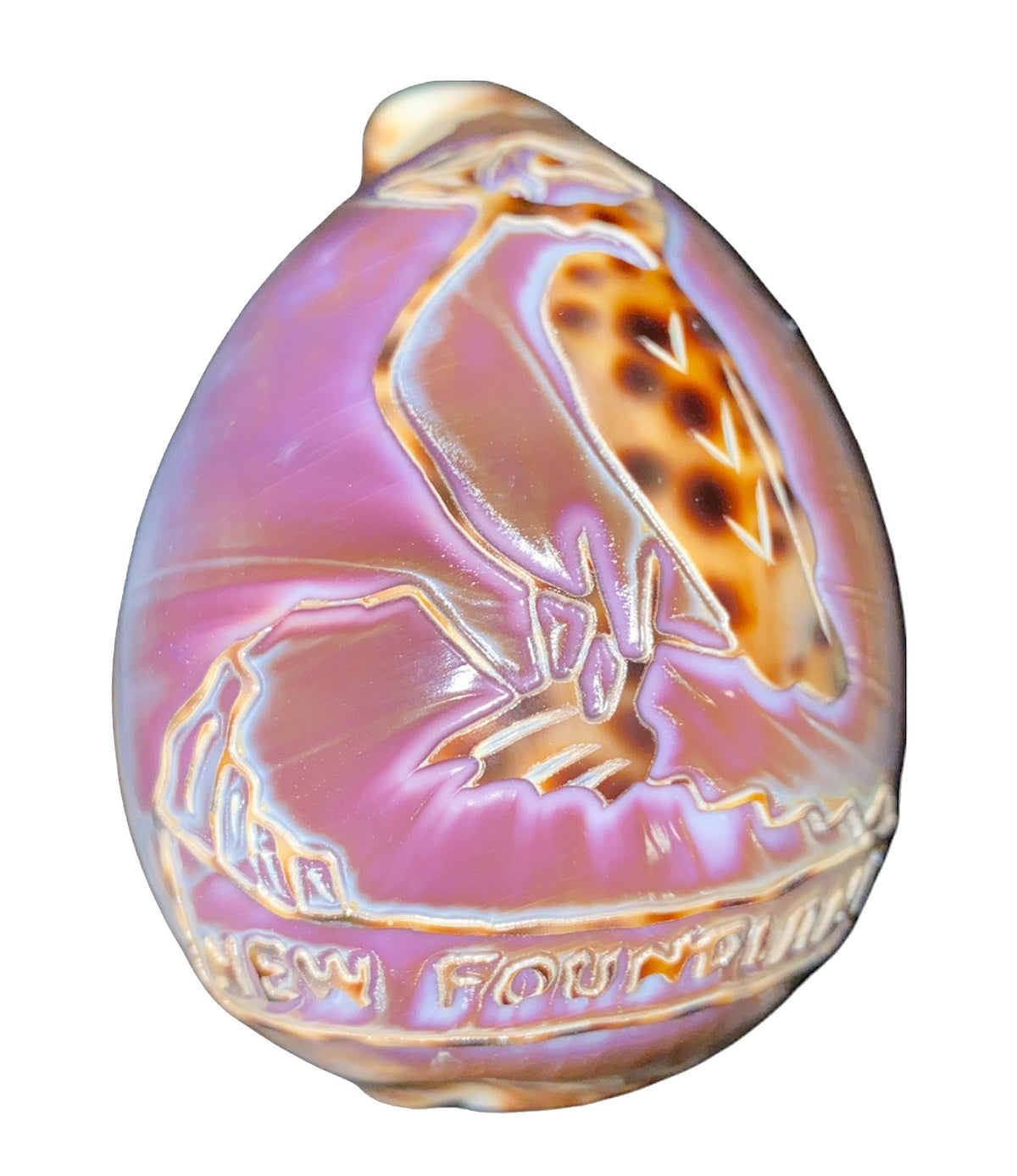 NEWFOUNDLAND PUFFIN COWRIE NIGHTLIGHT