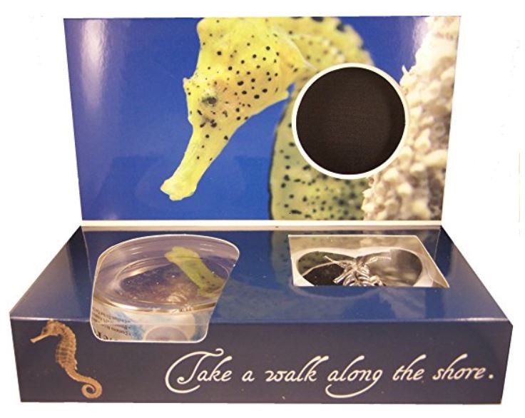 Wish Pearl Seahorse Design Box with Seahorse Pendant and Necklace