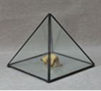 Triangle Glass Terrarium 8.5 x 8.5 x 8.5 cm / 3.3 inch